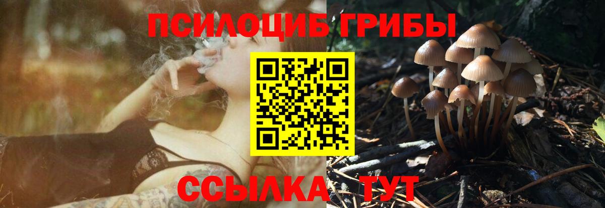 Псилоцибиновые грибы GOLDEN TEACHER Балаково